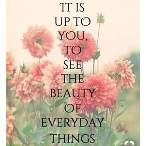 Meet your Posher, Maria mary